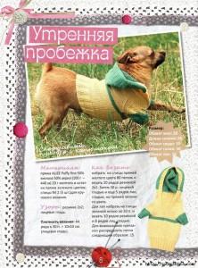 вязание для собак для начинающих (3)