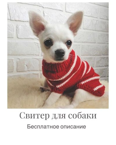 Описание свитера для собачки 29